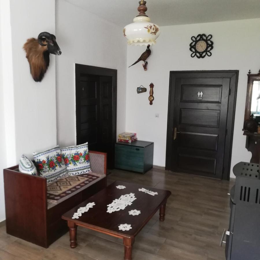 Гостьовий будинок Casa Din Barcut Екстер'єр фото