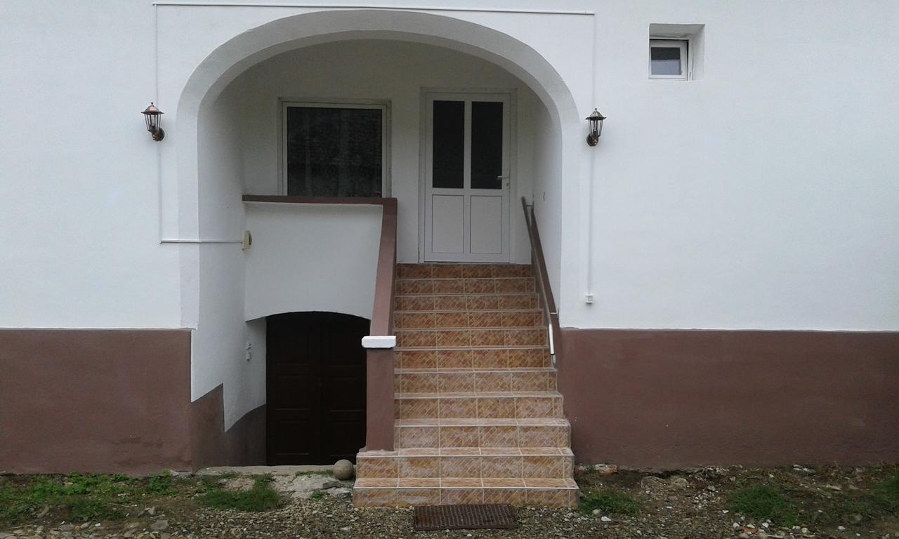 Гостьовий будинок Casa Din Barcut Екстер'єр фото