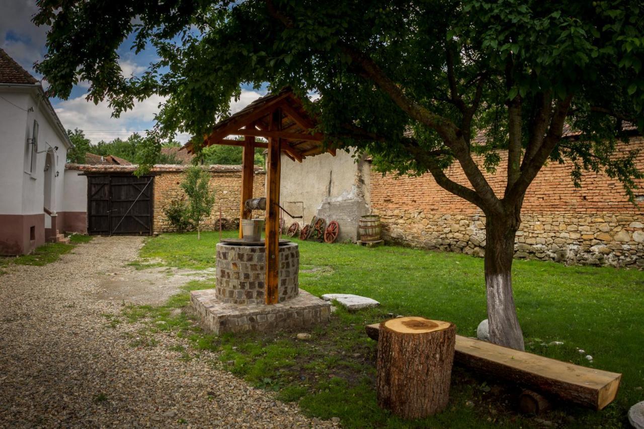 Гостьовий будинок Casa Din Barcut Екстер'єр фото