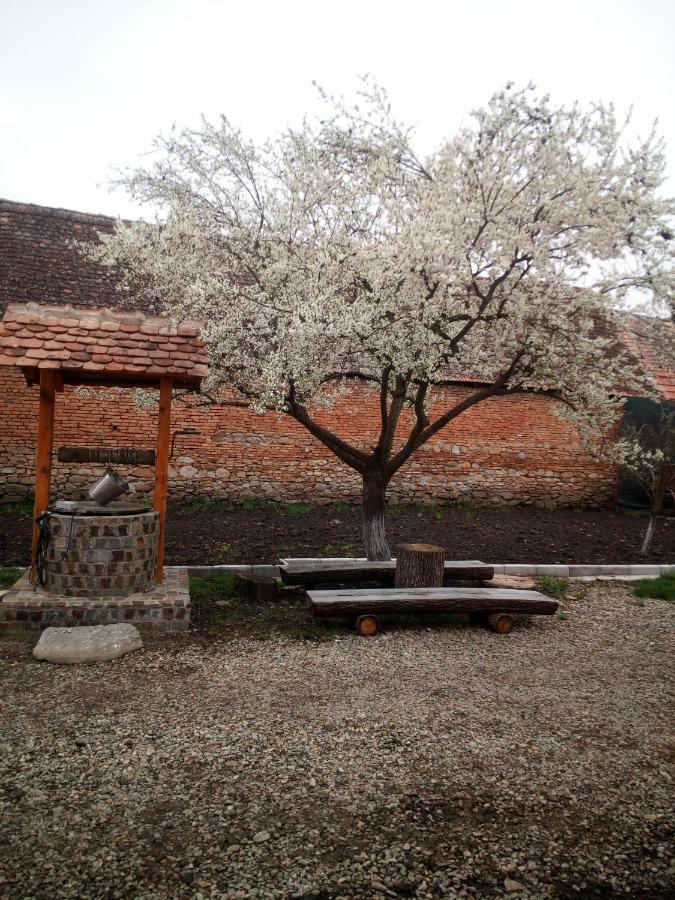 Гостьовий будинок Casa Din Barcut Екстер'єр фото